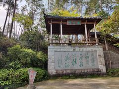 -千岛湖东南湖区