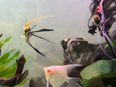 -龟与熊猫宠物公园(南坪店)
