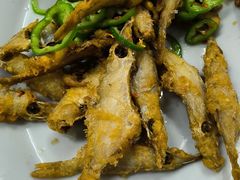 -棠记大排档(海珠店)