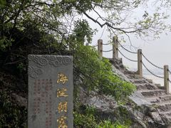 -江心屿景区