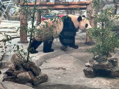 -武汉动物园