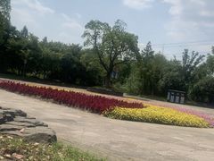 -梁鸿国家湿地公园