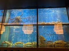 -珍宝海鲜JUMBO Seafood(尚嘉店)