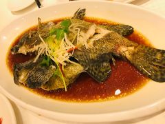 清蒸老虎斑-双井轩(双井店)