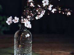 -思念果岭悦温泉