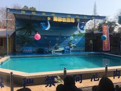 -荆州中山公园动物园