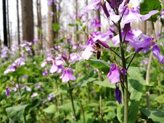 -祥源·阜阳生态乐园