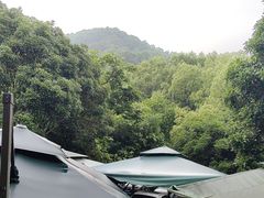 -阿巧茶庄