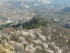 -阳台山自然风景区
