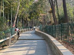 -灵岩山风景区
