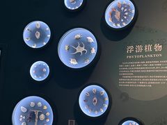-中国湿地博物馆