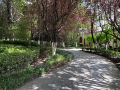 -凤池园