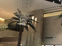 -常州环球恐龙城维景国际大酒店
