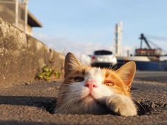 -TUK土耳其餐厅·下午茶(卢湾店)