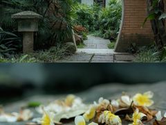 -广州兰圃