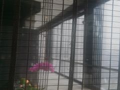 -广州富力君悦大酒店·关系酒廊