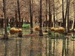 -捞渔河湿地公园