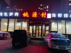 -桃源村铁锅炖鱼(体育馆道店)