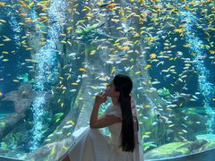 -合肥海洋世界