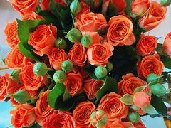 -朝来春花卉市场-东停车场