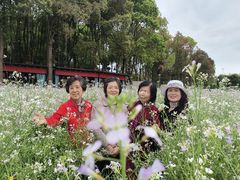 -洪湖家庭农场·团建·露营·会议