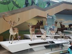 -陕西自然博物馆