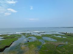 -日照灯塔风景区