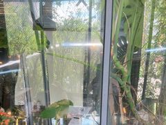 -肴约·花园式餐厅(湖里店)