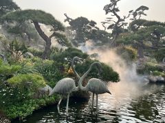 -罗红摄影艺术馆