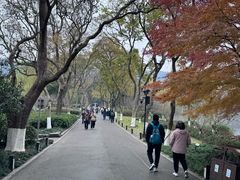 -家烧面馆【南山路知名经典面食】