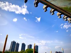 -长白岛森林公园