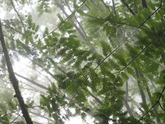 -山王坪喀斯特国家生态公园