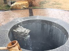 -东海森林温泉度假酒店