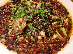 重庆来凤鱼-兔槽江湖菜·重庆璧山兔(水围店)
