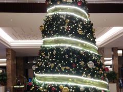 -厦门国际会议中心酒店(环岛路酒店)