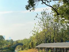 -庐山风景区花径公园