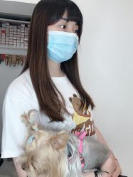 -YESIDO椰岛造型