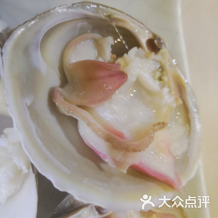 蒸汽时代原味海鲜公馆(香蜜湖店)贵妃蚌图片 - 第1张