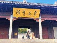 -阿育王寺