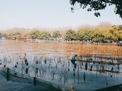 -西湖天地