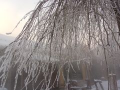 -陆地游轮吉林神农温泉