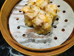 -高第街56号餐厅(银座商城玉函店)