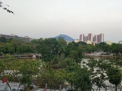 -松坪山公园