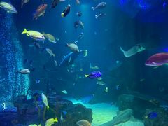 -沈阳海洋探索中心