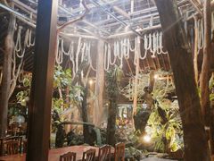-绿光森林餐厅