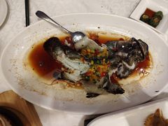 黄椒酱蒸小龙趸-幸运楼(北京路店)