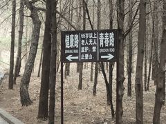 -红螺寺