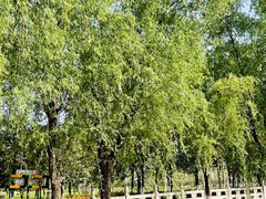 门面-汉长安城未央宫国家考古遗址公园