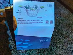 -牛岗山公园