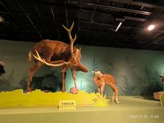 -浙江自然博物院(杭州馆)